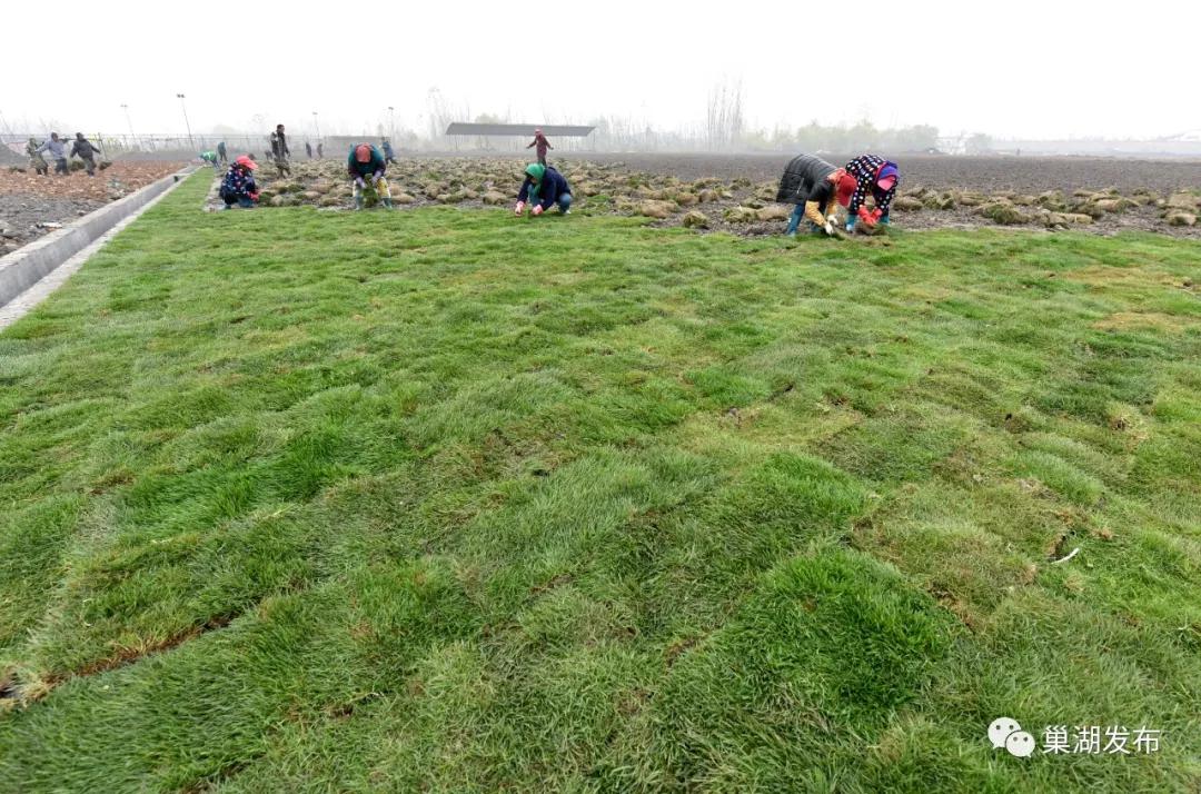 最好的人工草坪足球场,人工草坪足球场建设全过程