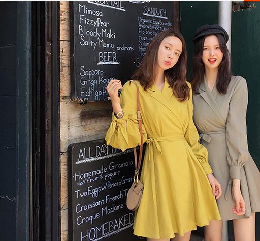 张大奕为什么被称为大陆第一网红,网红张大奕现在怎么样