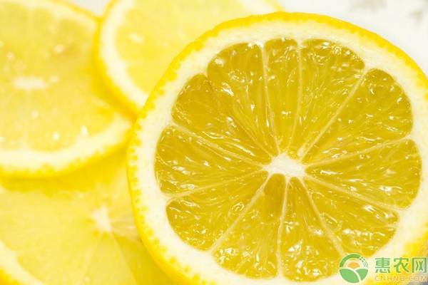 柠檬种植技术方法和管理,柠檬种植技巧和管理视频