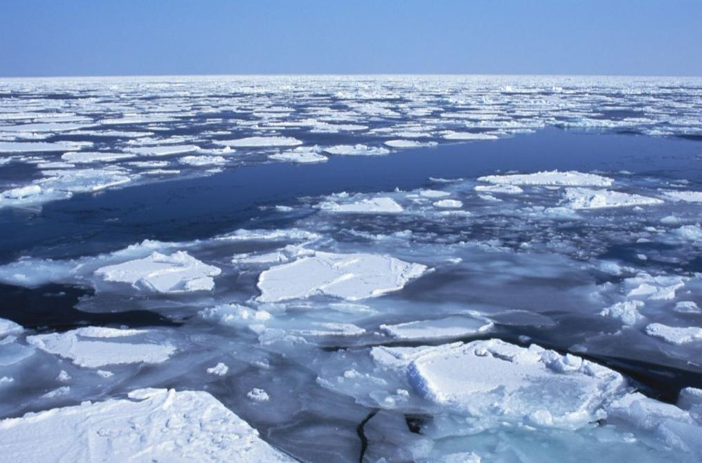 北极再现史前生物，南极爆发新冠疫情，大自然正悄悄惩罚人类