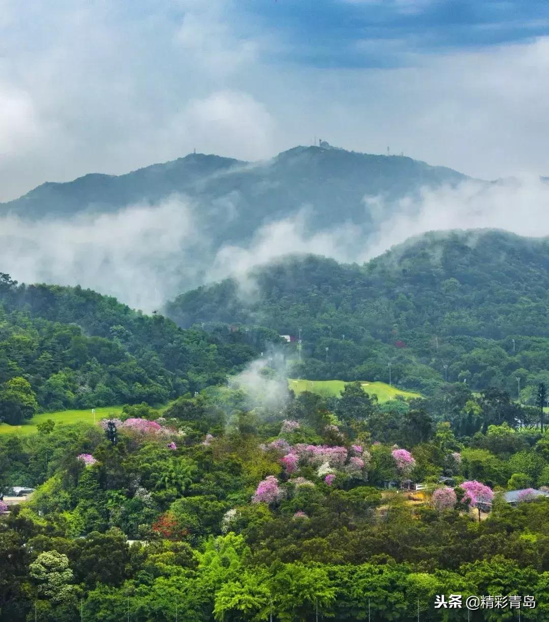 什么是麻雀定律,什么是应激反应表现有哪些