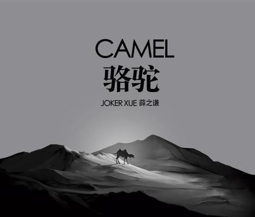 偌大的城市，我们都是骆驼