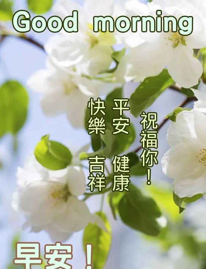 生活苦不苦看对生活的态度,生活累不累自己去体会早安