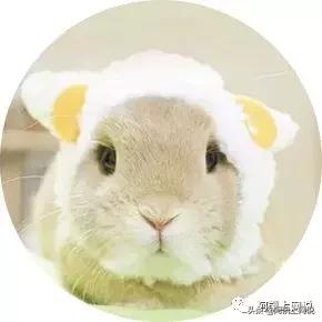 你小时候肯定玩过的小游戏,你小时候肯定玩过的东西