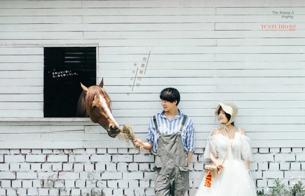 文艺范婚纱照风格种类大全,婚纱照不一样的风格