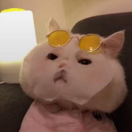 谁说便宜没好的护肤品,推荐十大平价护肤品护肤干货