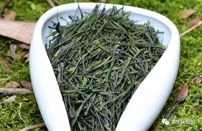 茶叶造型大全100种,茶叶的造型手法有哪些图片