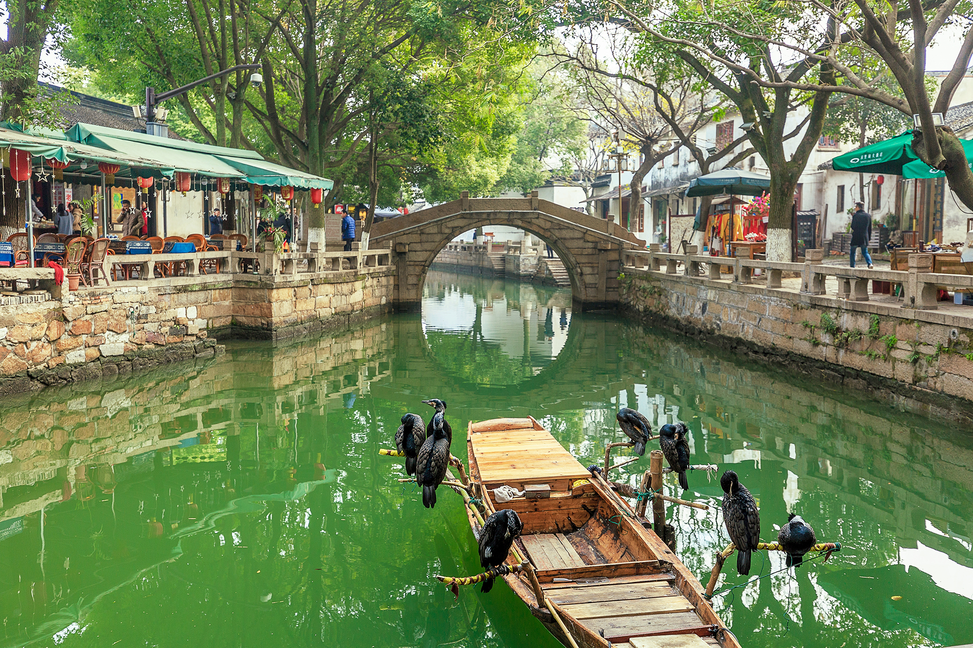 愿为人间客，世世在江南，不如来同里