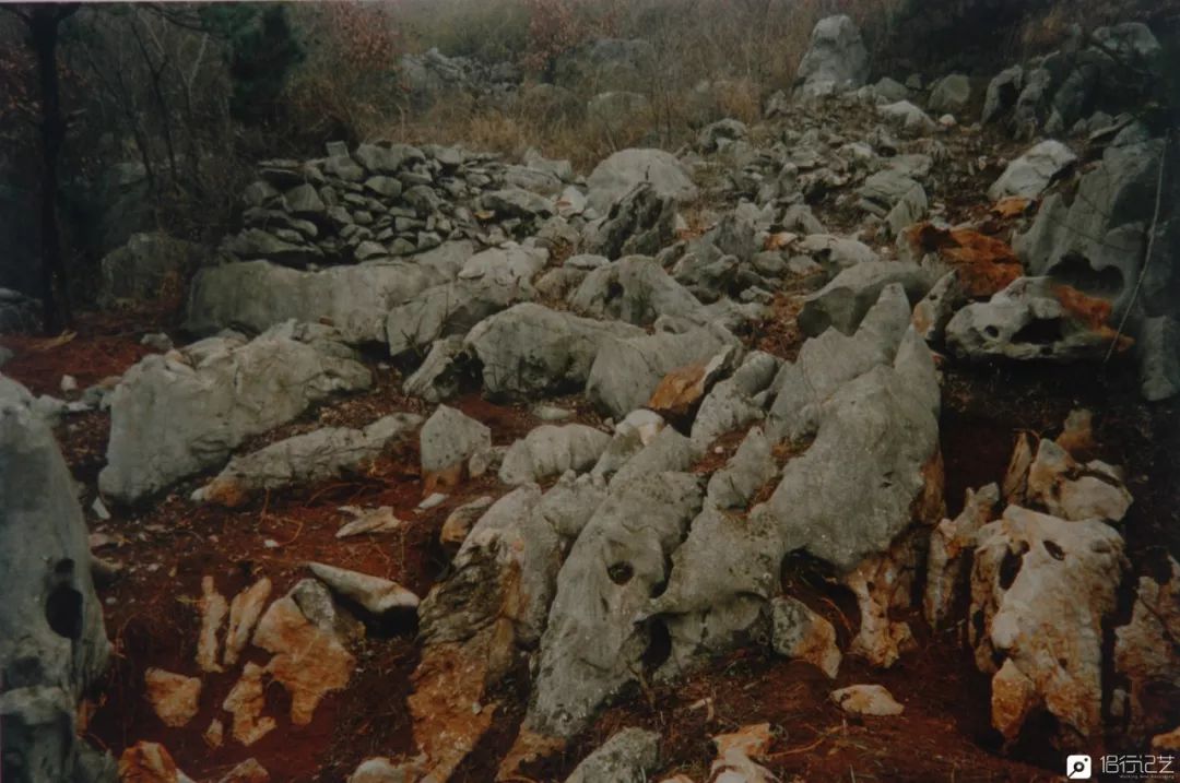 大叔花700万建的花园别墅,太湖石苏州