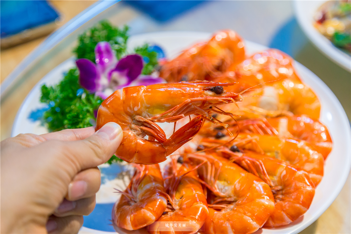 三亚哪里可以逛街带娃,在三亚带儿童玩的地方