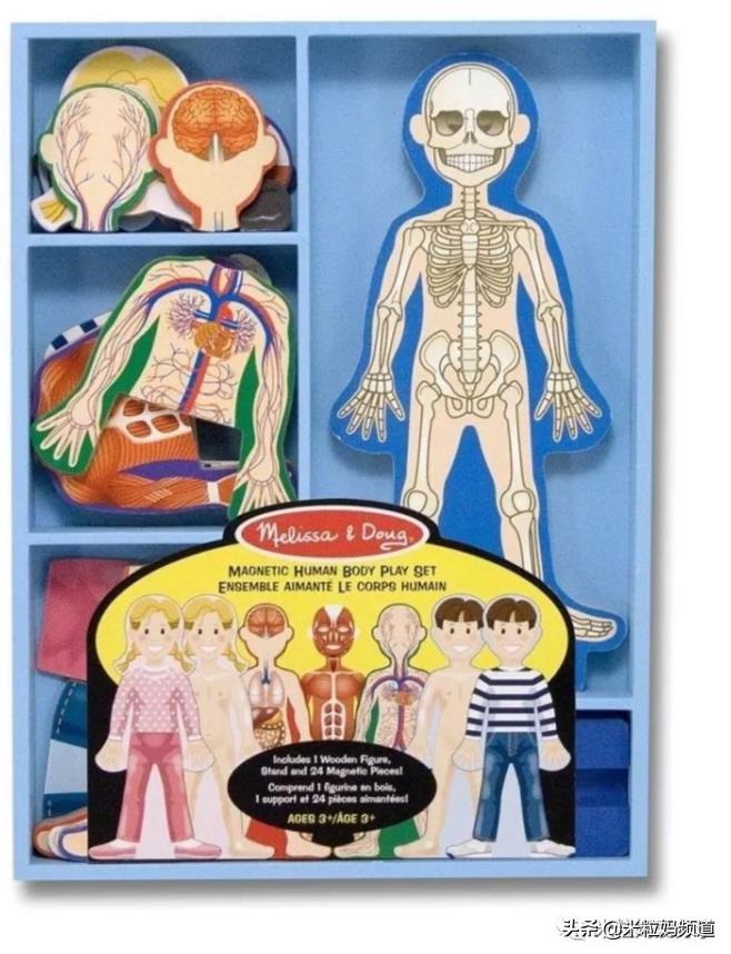 早教课程立体拼图的目的,早教拼图操作流程