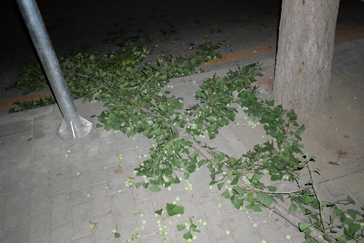 韩雪明星推荐好物,韩雪好物