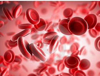 张亭栋治好白血病的真相,张亭栋治疗白血病论文