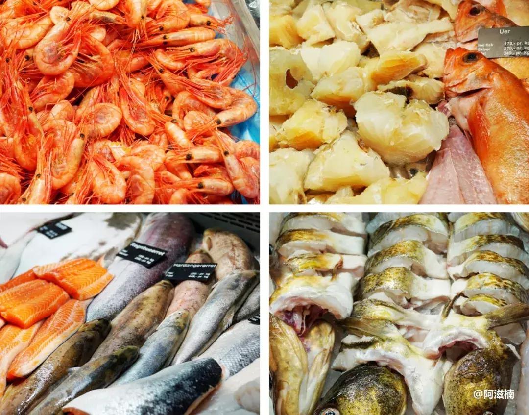 为了吃世界上最好吃的青花鱼，我飞去了挪威，光是捕捞船价值4亿