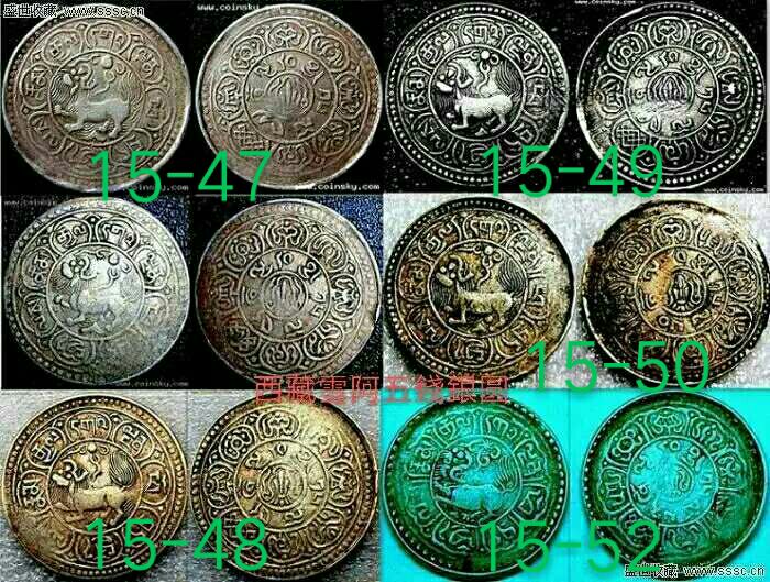 【原创】当年万金购七头藏獒!藏友说是狮子图案？真是一头雾水!