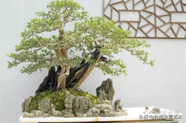 骞哥涔呬箙鐢滅敎铚滆湝,骞哥涔呬箙