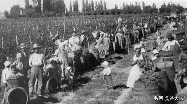 同属美洲大陆一个在南一个在北阿根廷凭啥敢和美国对着干？