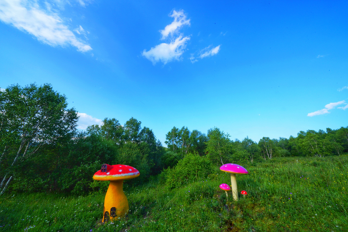 如何对付炎热的高温,炎炎夏日应对冬天