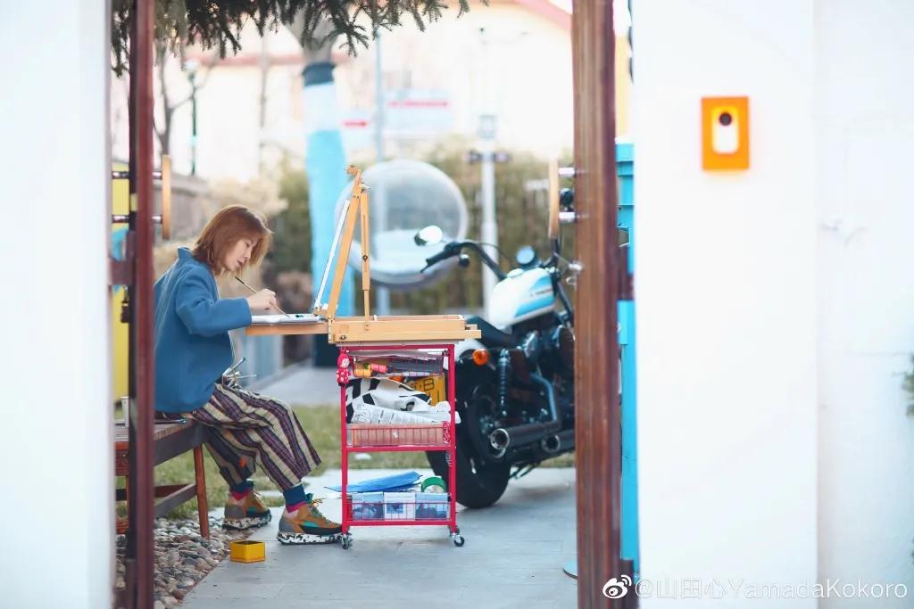 城市版的李子柒,李子柒真实的豪宅变化