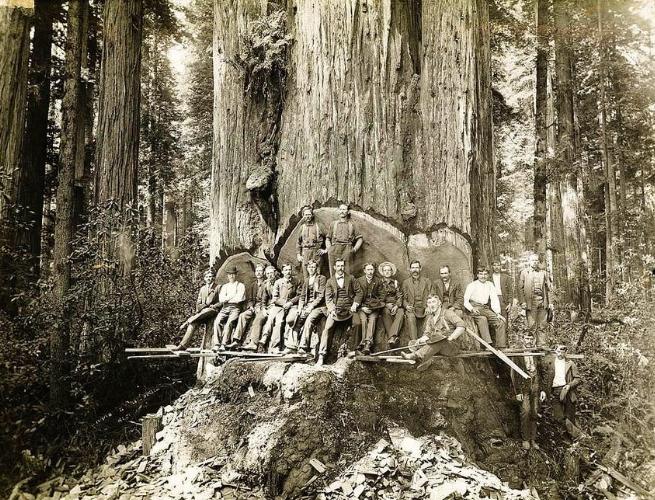 历史上真实的50张老照片,历史上一些令人震撼的老照片