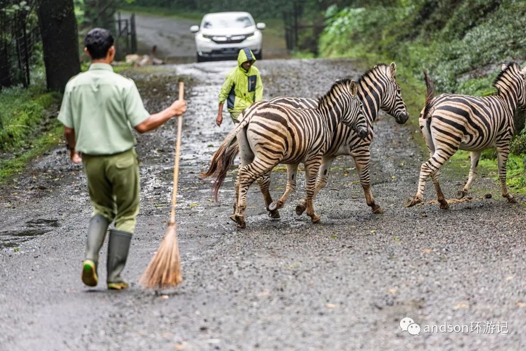 印尼你好怎么发音,印尼歌曲你好傻