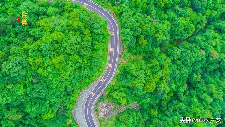 不输黄山迎客松的迎客松,不输黄山的景点