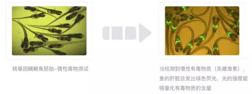 「测评」一个女人一辈子约10年在卫生巾度过，选对卫生巾很重要