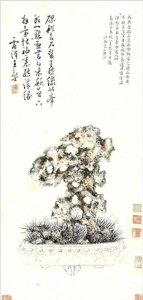 菖蒲水草需要多少k的灯,菖蒲水草泥