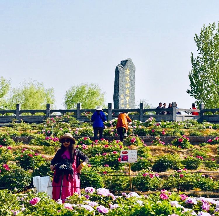 洛阳晚报作品,洛阳晚报2020年