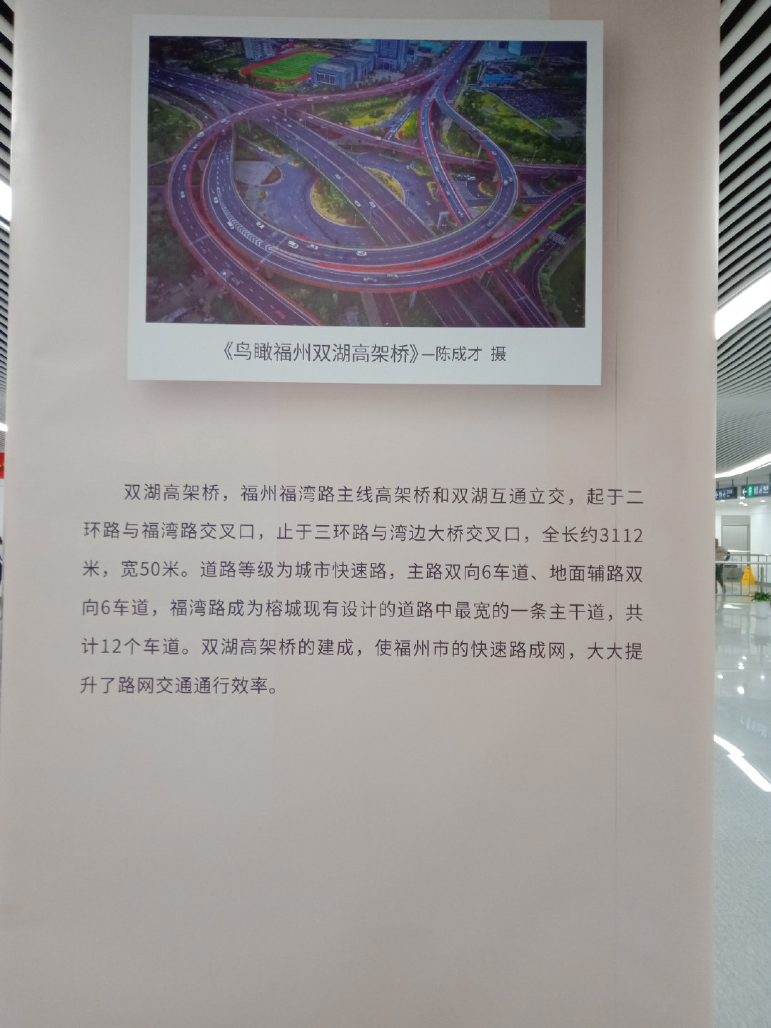 福州大学就像一座大公园，风景美到爆！最美的世界一流学科院校