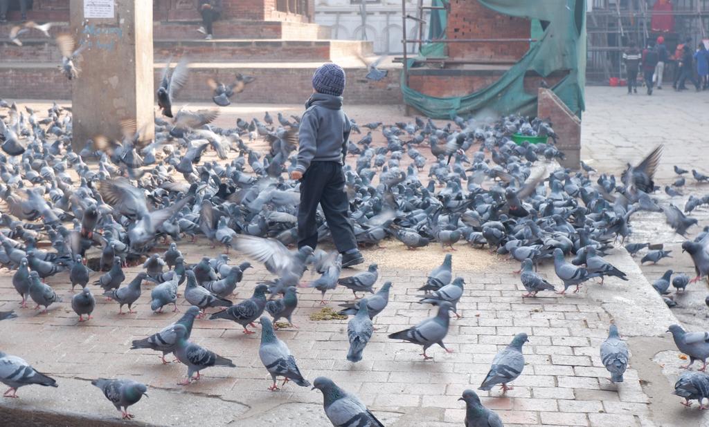 坐公交出国,坐公交可以环游中国么