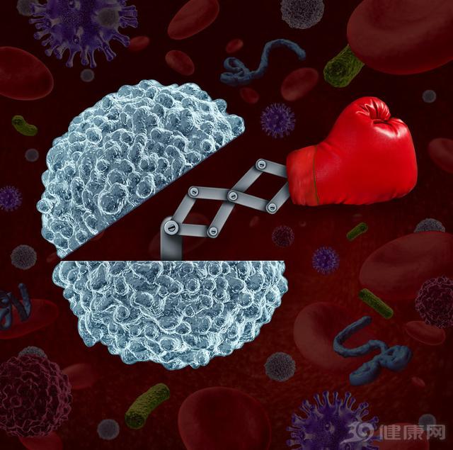 涓轰粈涔堟湁鐨勪汉璁や负鐧借泲鐧芥槸琛ヨ嵂,涓轰粈涔堣鐧借泲鐧芥槸鏁戜笘鑹嵂