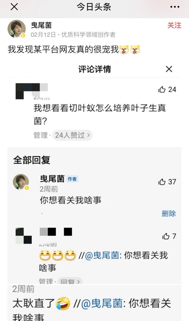 她让20万人爱上一种菌：像西米露，又似咸蛋黄，网友直呼太神奇