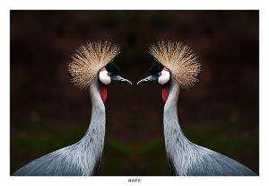 讲述时间管理的策略,时间管理4要素