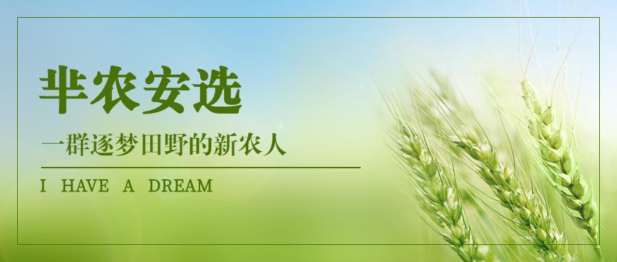 线上与线下之争解析,线上和线下该如何抉择