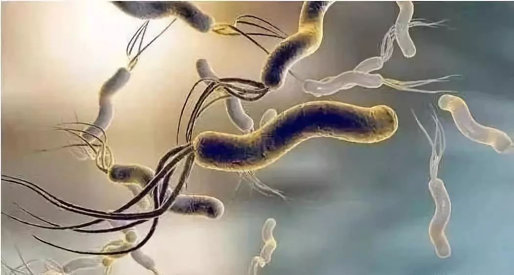 幽门螺旋杆菌14c检测准确吗,幽门螺杆菌c13阳性值对照表2021