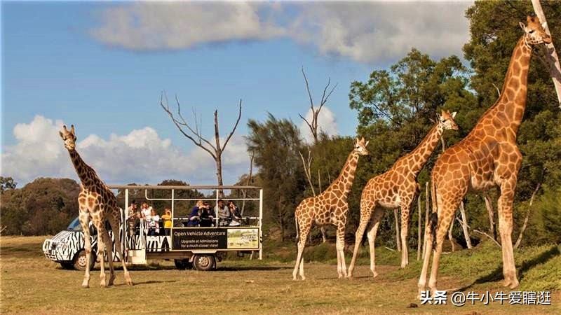 悉尼7日游自由行攻略,澳洲阿德莱德旅游攻略