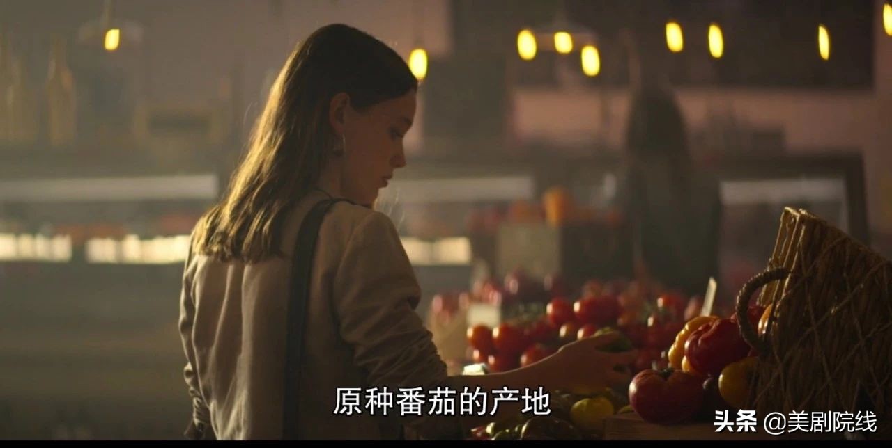 最好看的十部美剧解说,一共十五集特别好看的美剧