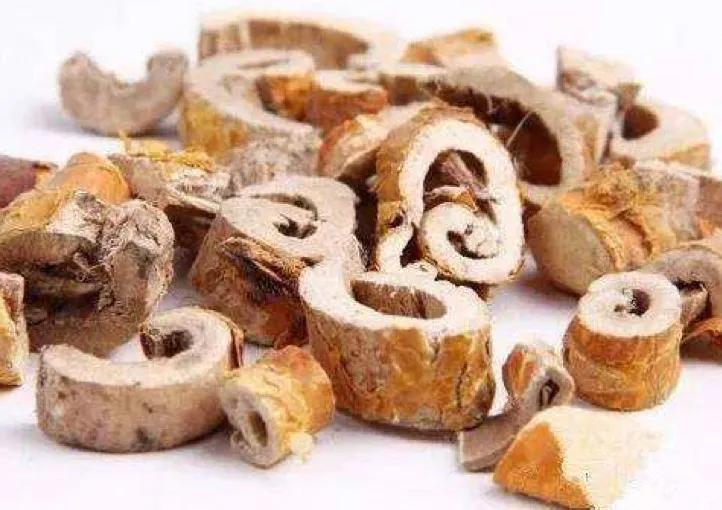 在诗经中走出来的中药,桑葚有没有出现在诗经里