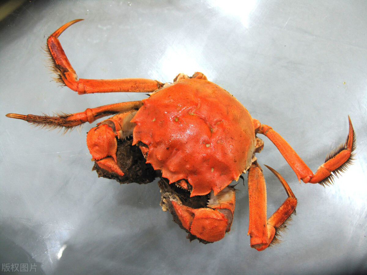 辽宁省除了沈阳大连哪个城市宜居,辽宁大连最宜居的地方