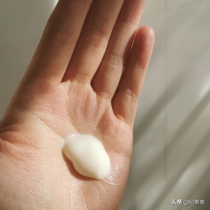 祖马龙薰衣草限定，全智贤同款电饭锅，这些好用真的值得买