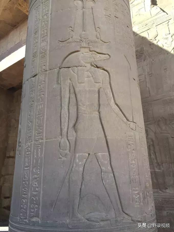 把非洲鳄界扛把子当宠物养是一种怎样的体验？