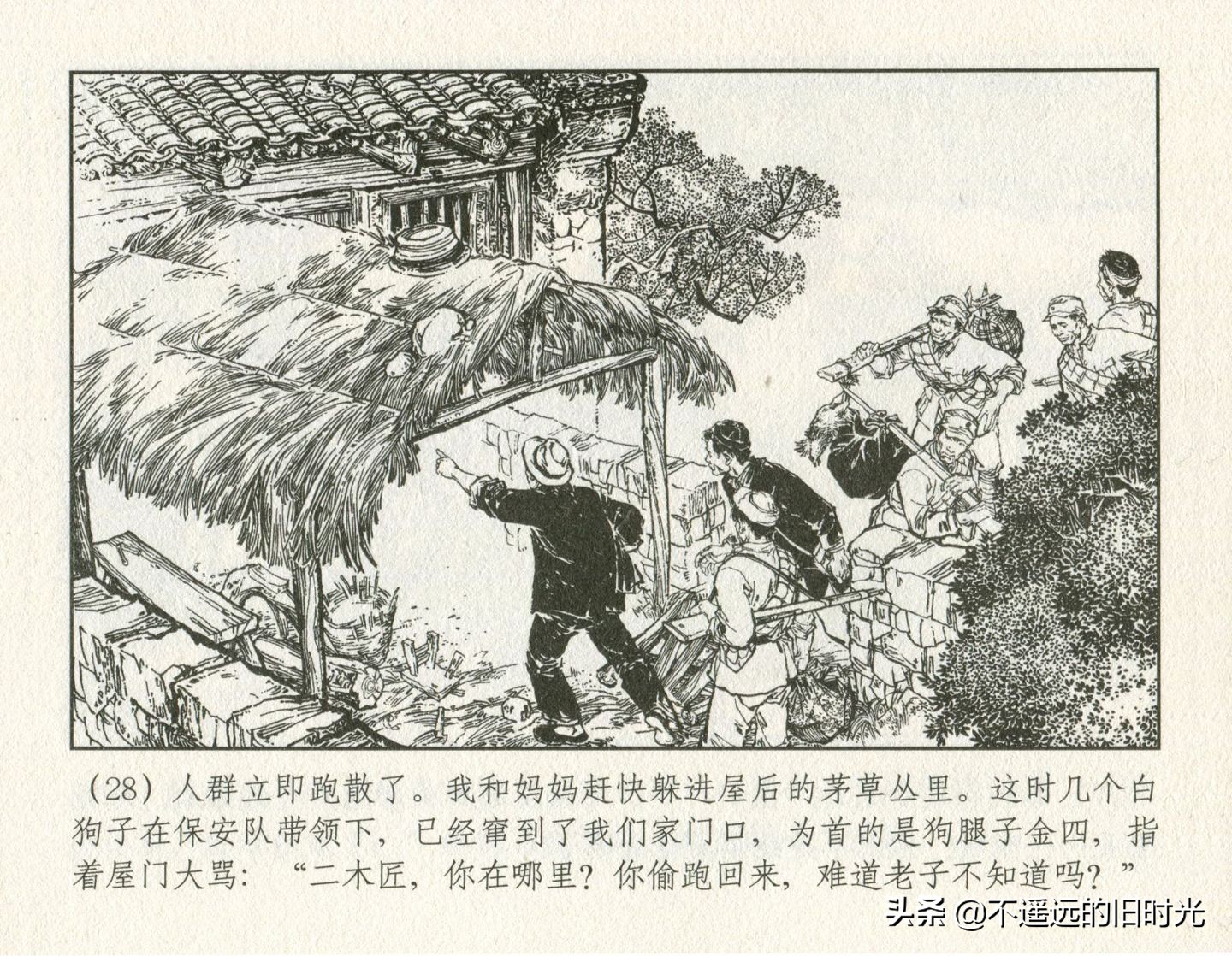 朝阳花-上海人民美术出版社1981初版2016再版陆成法陆小弟绘