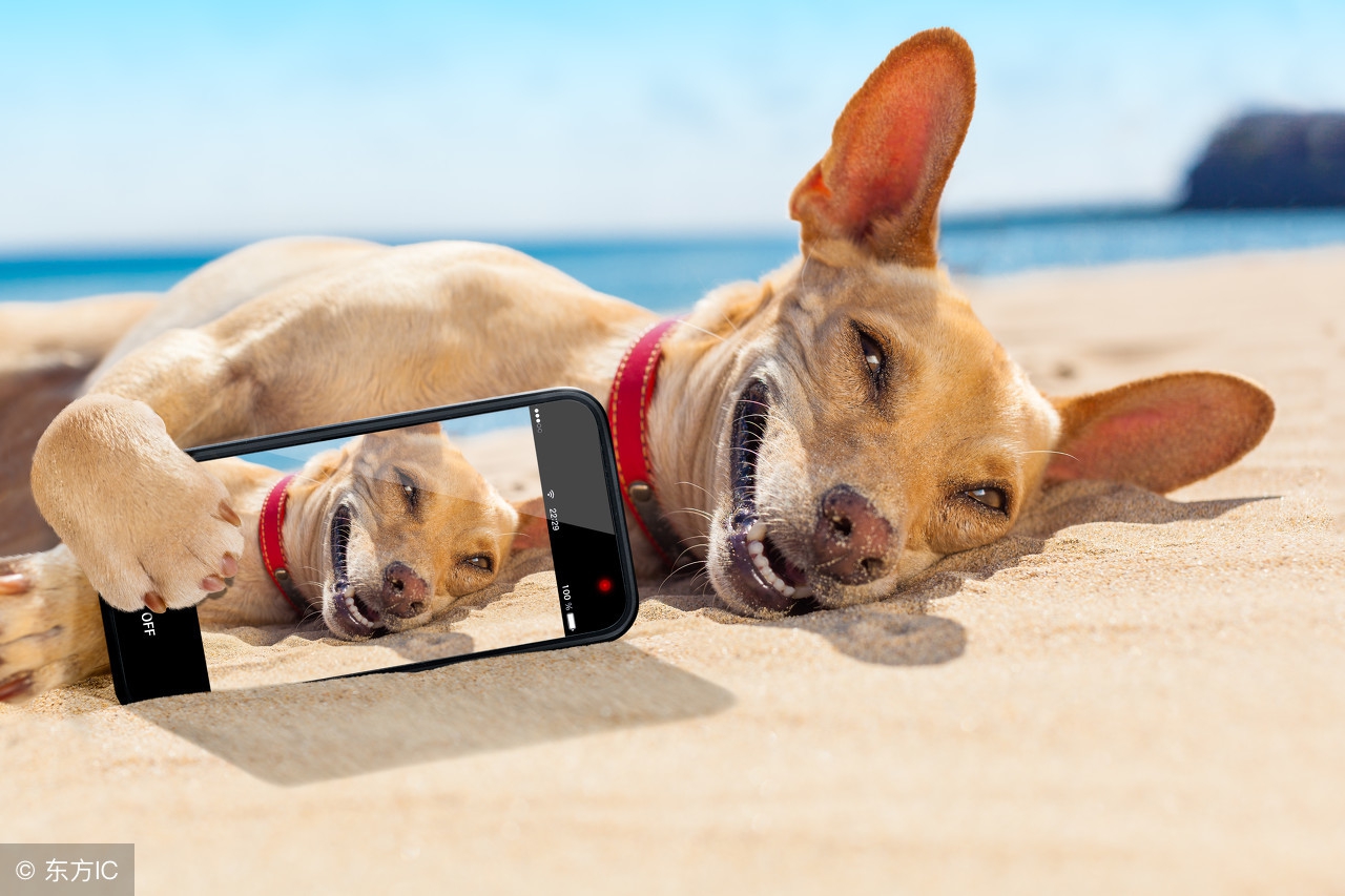 怎么才能成为一个幽默风趣的人,做一个幽默风趣的人