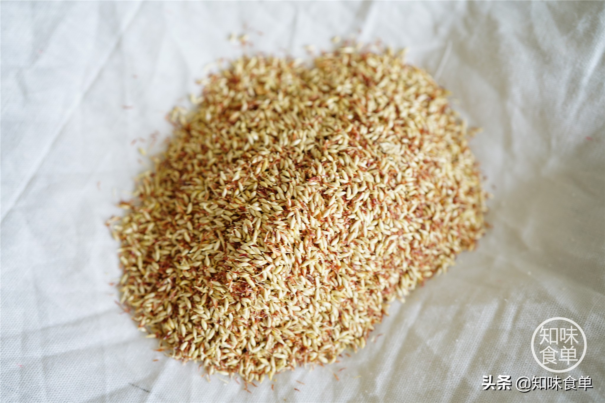 食单丨手工冰粉制作丨最全冰粉制作指南，天然*物冰植**粉大比拼