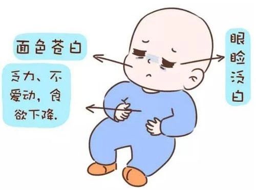 贫血儿童健康指导,宝宝贫血缺铁性贫血吃什么药
