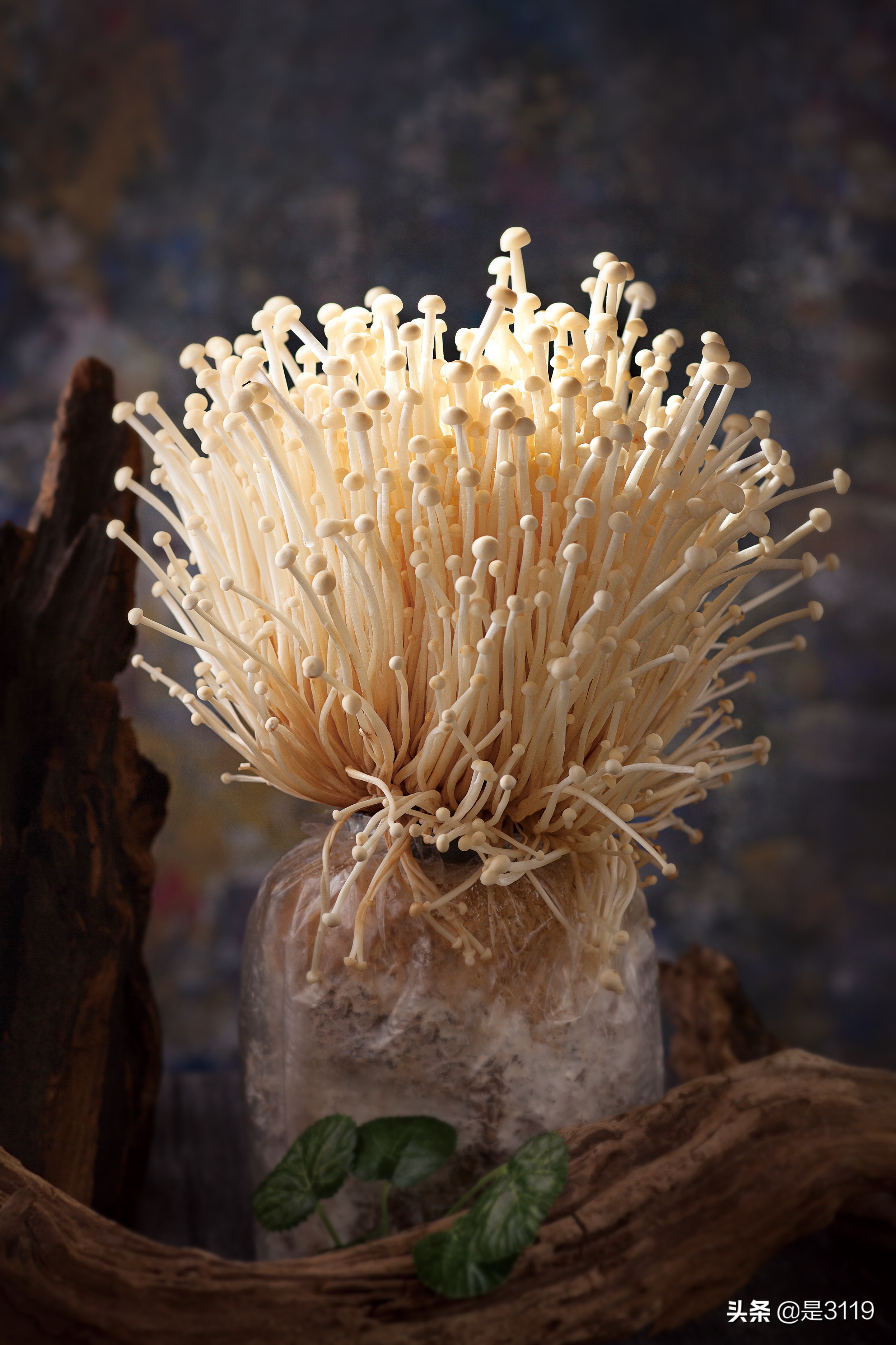 地瓜老火锅怎么样,地瓜老火锅简介