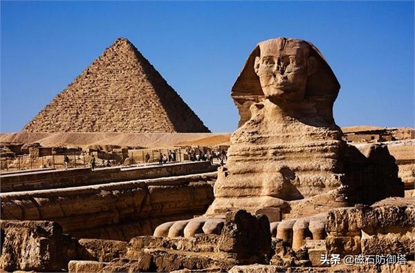 饲养箱爬虫,饲养箱乌龟