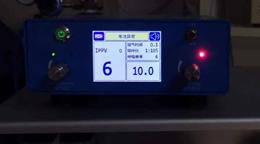 乌龟龟甲外伤该如何修复(下)