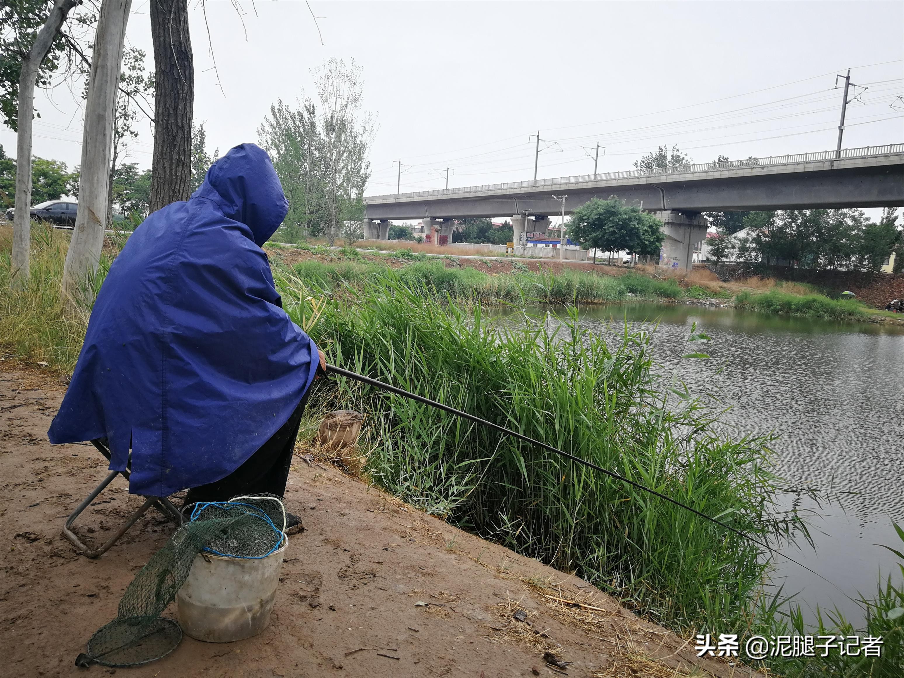73岁老汉钓鱼30年谈经验：钓获鱼儿先不要吃，静养一周再下锅